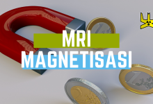 Featured Image Magnetisasi