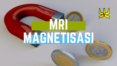 Featured Image Magnetisasi